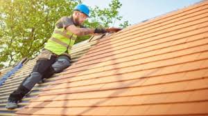 Best Roof Maintenance and Cleaning  in North Ridgeville, OH