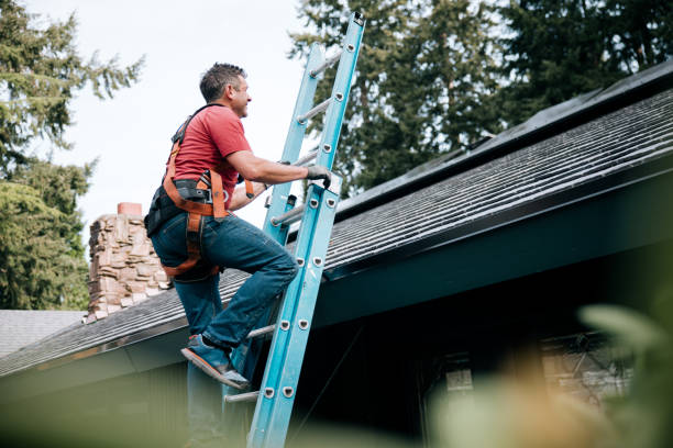 Best Gutter Installation and Repair  in North Ridgeville, OH
